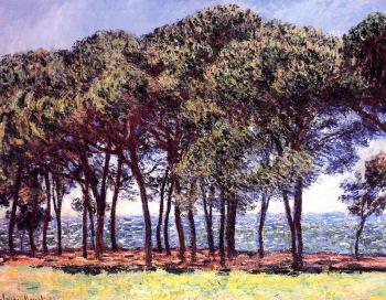 尅勞德 莫奈 Pine Trees, Cap d'Antibes 尅勞德 莫奈 Pine Trees, Cap d'Antibes